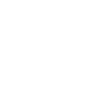 ryterna modul logo